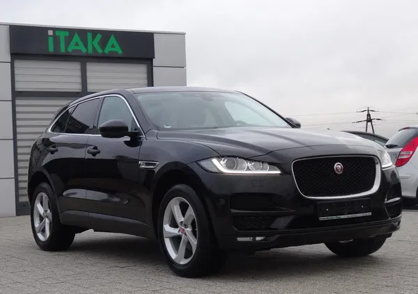 Jaguar F-Pace cena 89999 przebieg: 216000, rok produkcji 2016 z Stęszew małe 191